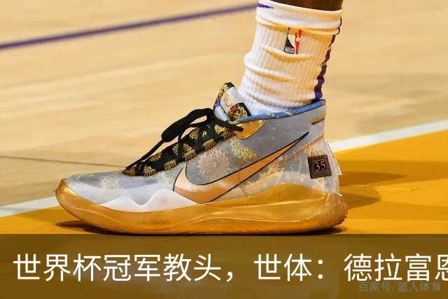 世界杯冠军教头，世体：德拉富恩特领跑2026最佳教练金球奖