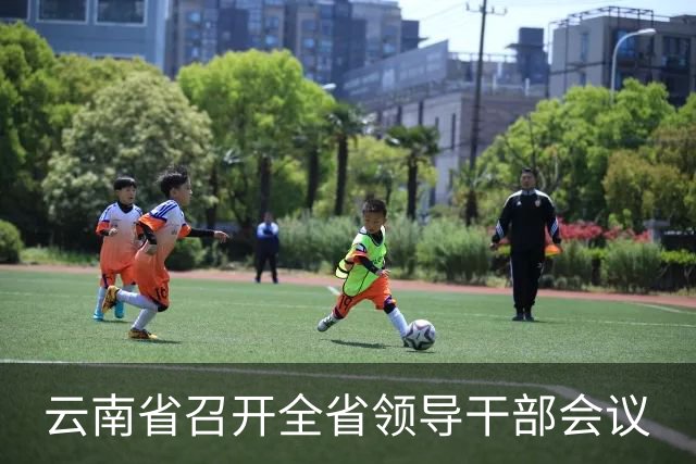 云南省召开全省领导干部会议