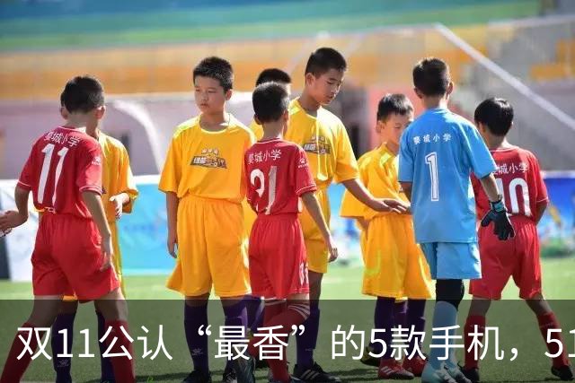 双11公认“最香”的5款手机，512GB也不贵，最低才1461元