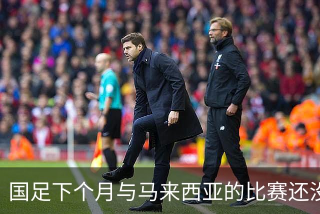 国足下个月与马来西亚的比赛还没开始踢！就有可能让邵佳一 提前收到大礼