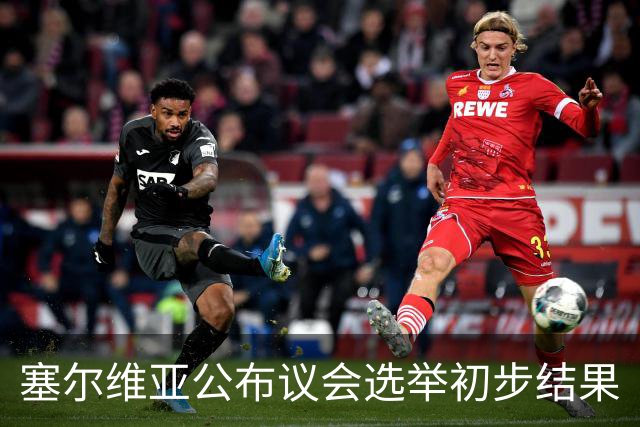 塞尔维亚公布议会选举初步结果