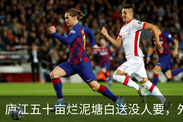 庐江五十亩烂泥塘白送没人要，外乡人租六年，藕卖完连夜走了