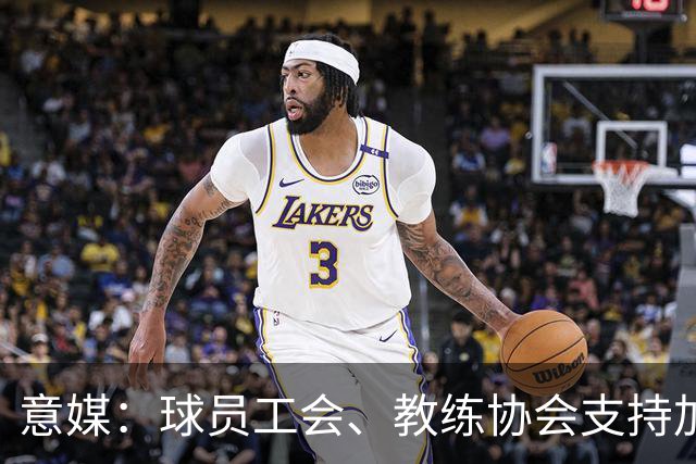 意媒：球员工会、教练协会支持加利亚尼竞选足协主席