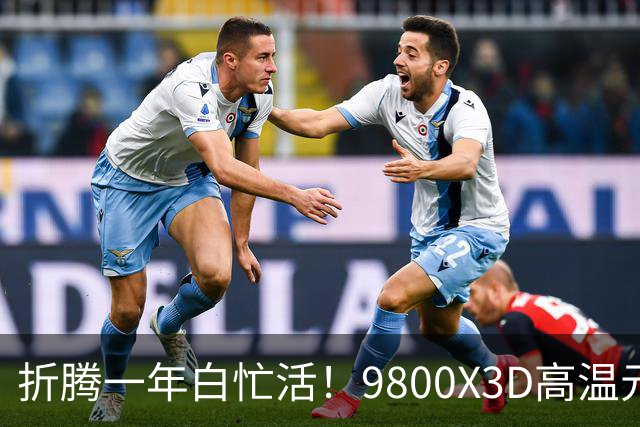 折腾一年白忙活！9800X3D高温元凶竟是BIOS：更新后从95℃直降9℃
