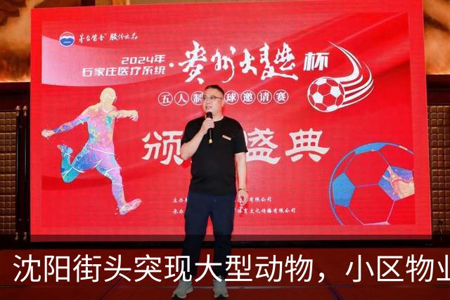 沈阳街头突现大型动物，小区物业：疑似野猪，应该还路过了很多小区，多方正寻找处置