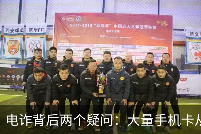 电诈背后两个疑问：大量手机卡从哪来？为何骗子能大额转账？