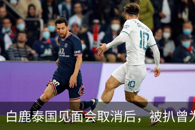 白鹿泰国见面会取消后，被扒曾为缅北拍宣传片，知情人爆更多内幕