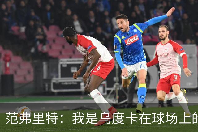 范弗里特：我是乌度卡在球场上的一个翻译 我当老好人他当坏人