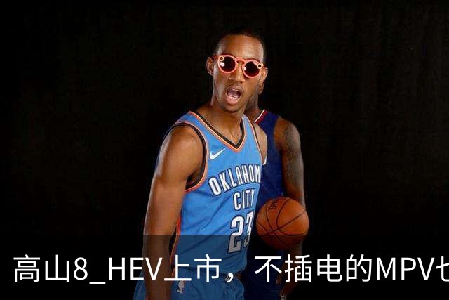 高山8 HEV上市，不插电的MPV也配激光雷达